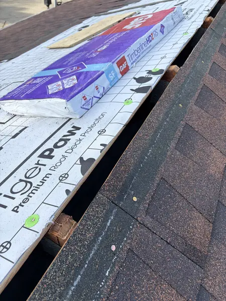 Roofing Project